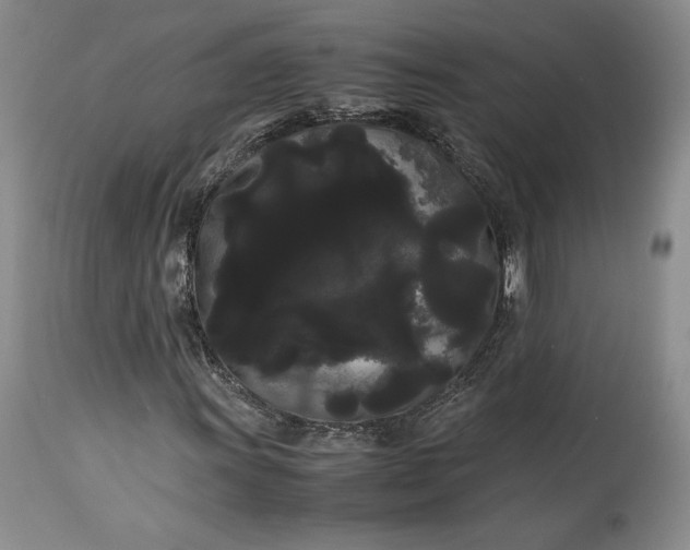 X0000114191011200910231316