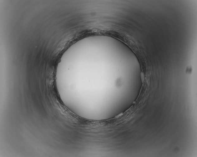 X0000114191012200910231316