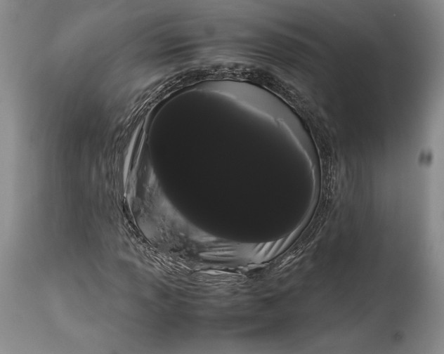 X0000114191013200910231316