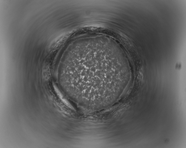 X0000114191014200910231316