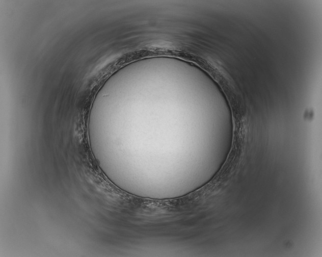X0000114191015200910231316