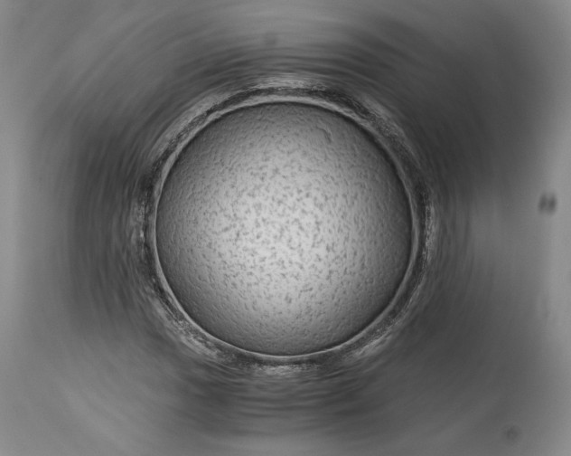 X0000114191017200910231316