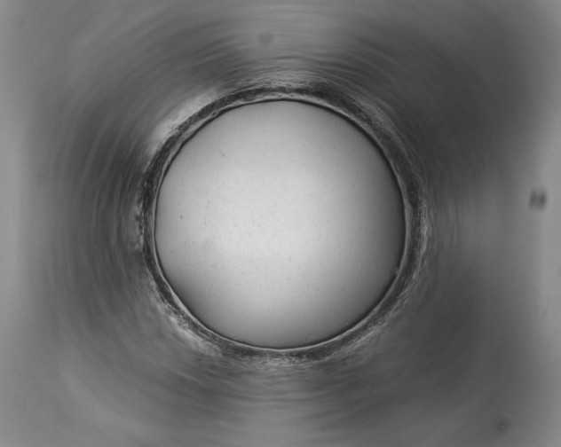 X0000114191018200910231316