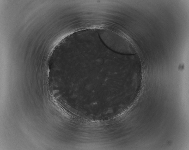 X0000114191019200910231316