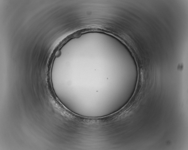 X0000114191020200910231316