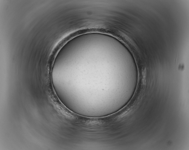 X0000114191021200910231316