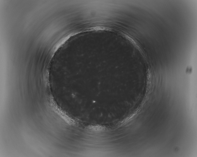 X0000114191023200910231316