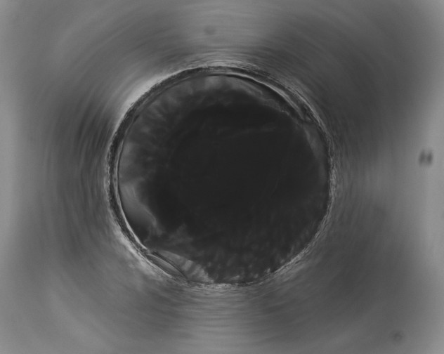 X0000114191024200910231316
