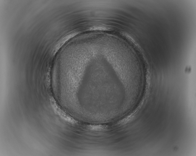 X0000114191025200910231316