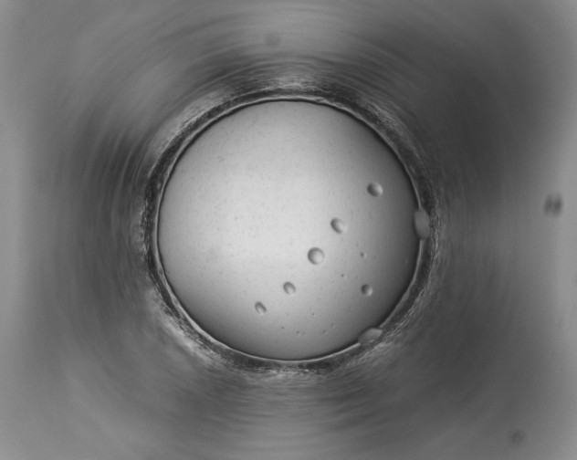 X0000114191026200910231316