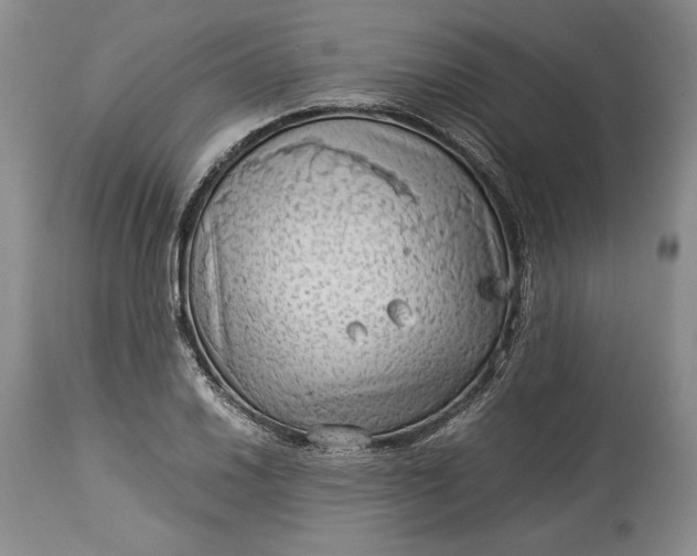 X0000114191030200910231316