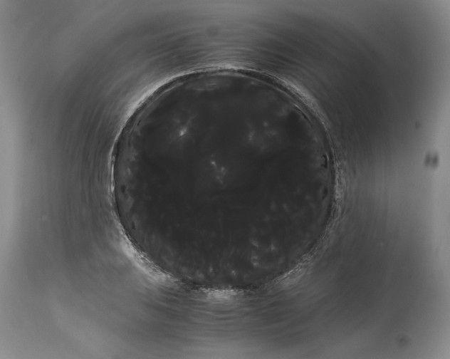 X0000114191031200910231316