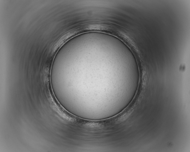 X0000114191033200910231316