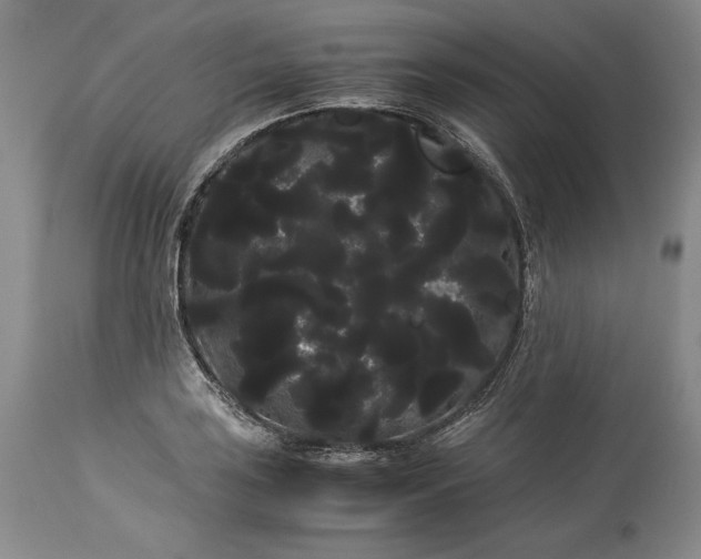 X0000114191035200910231316