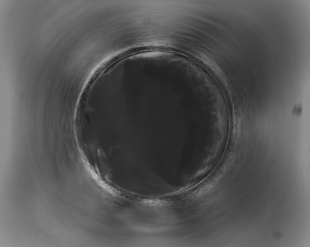 X0000114191037200910231316