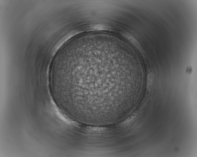 X0000114191039200910231316