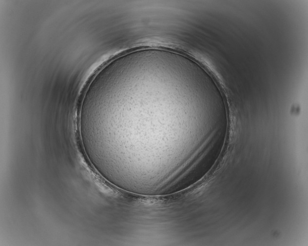 X0000114191040200910231316
