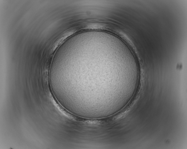 X0000114191041200910231316