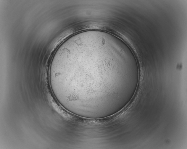 X0000114191042200910231316