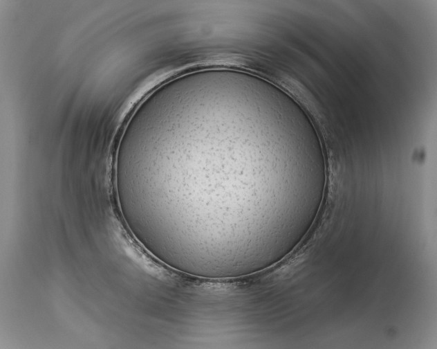 X0000114191044200910231316