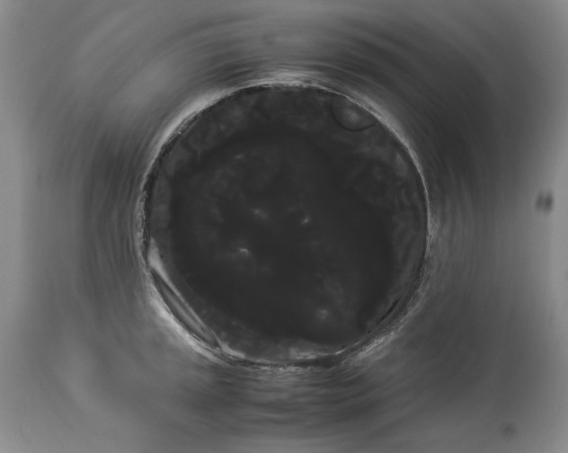 X0000114191045200910231316