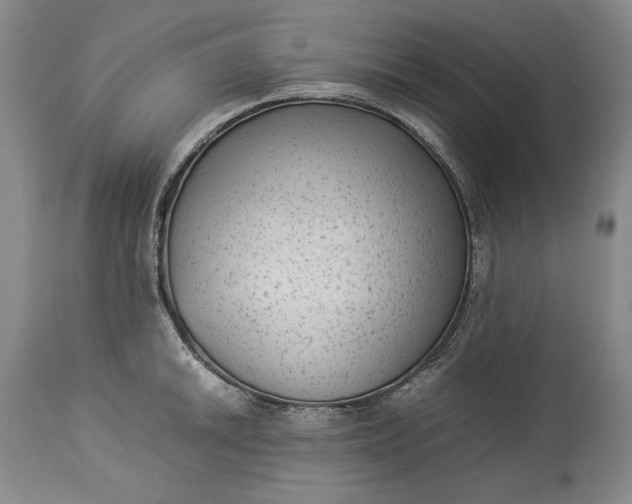 X0000114191046200910231317