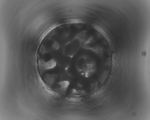 X0000114191047200910231317