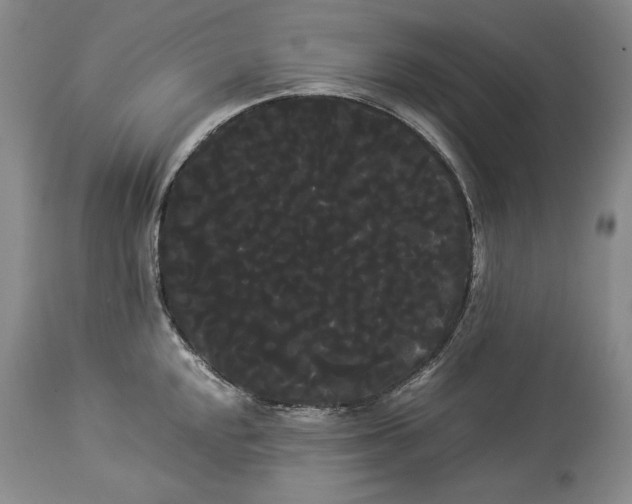 X0000114191048200910231317