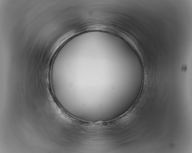 X0000114191050200910231317