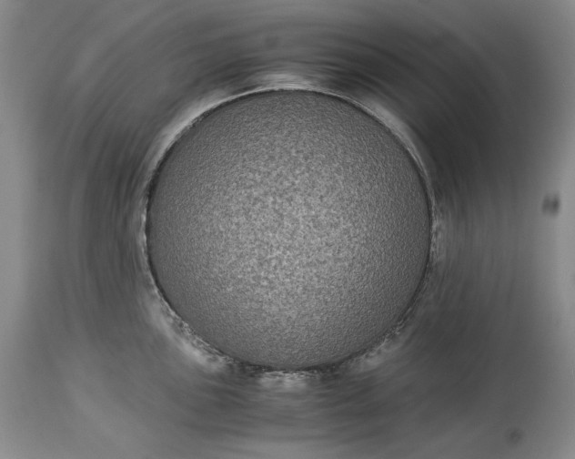 X0000114191051200910231317