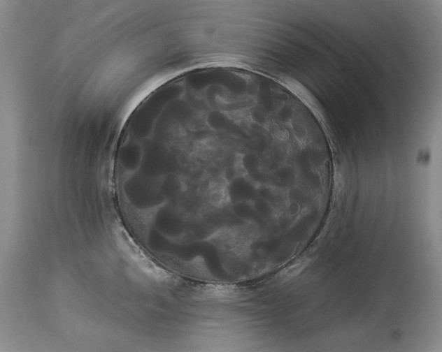 X0000114191052200910231317