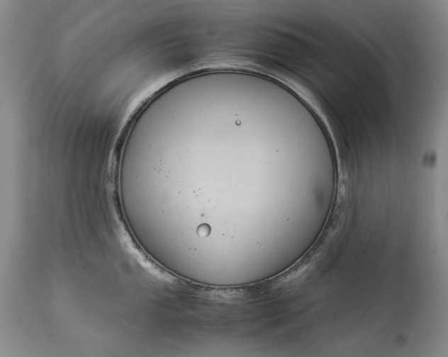 X0000114191053200910231317