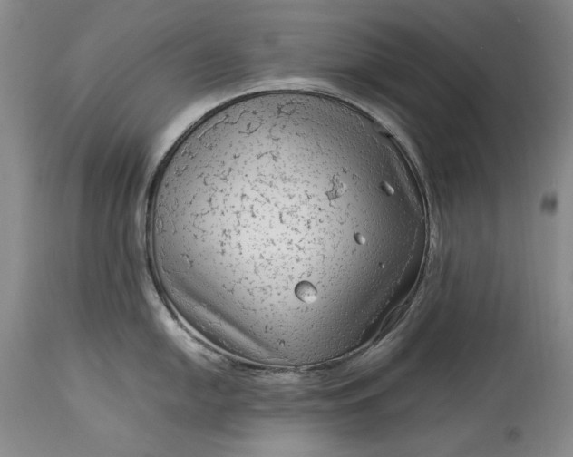 X0000114191054200910231317