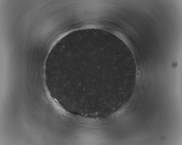 X0000114191055200910231317
