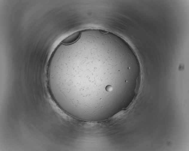 X0000114191056200910231317