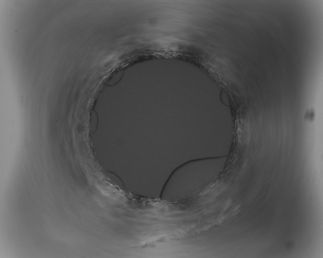 X0000114191057200910231316