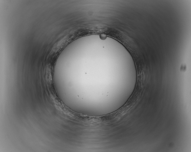 X0000114191058200910231316