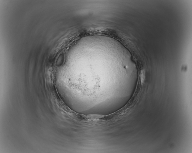 X0000114191059200910231316