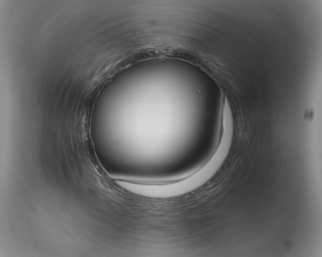 X0000114191060200910231316