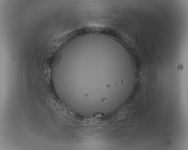 X0000114191061200910231316