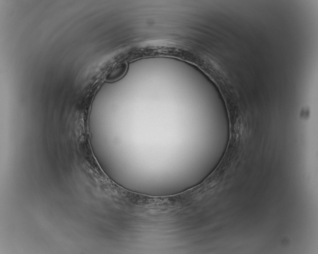X0000114191062200910231316