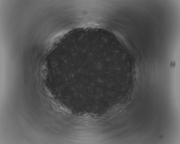 X0000114191063200910231316