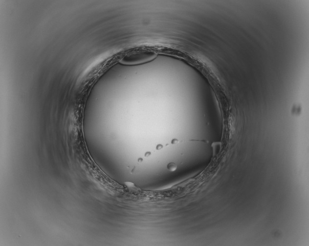 X0000114191064200910231316