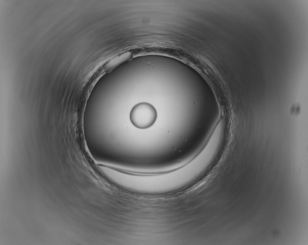 X0000114191065200910231316