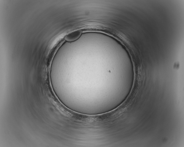 X0000114191067200910231316
