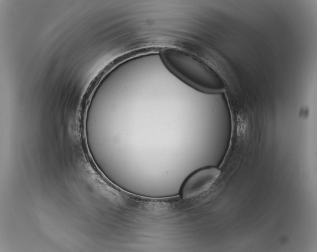 X0000114191068200910231316