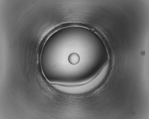X0000114191069200910231316