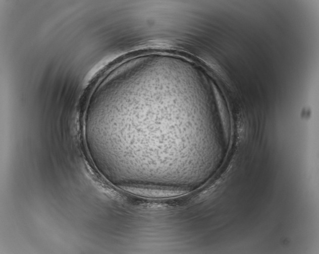 X0000114191070200910231316
