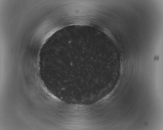 X0000114191071200910231316