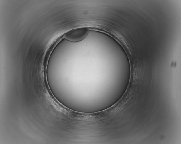 X0000114191072200910231316